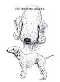 Bedlington Terrier - Double Image by Cindy Farmer