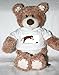 Teddy Bear with animals, jaga, mouse, cat, pet, rodent, chasing, verb, feline t-shirt
