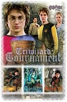 Harry Potter 4 Goblet of Fire Triwizard POSTER RARE NEW - 24" x 36"
