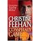 Scintillating Historical and Paranormal Romance Novels