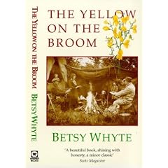Yellow on the Broom,the