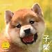 �J�����_�[2012&nbsp;�q��&nbsp;(Yama-Kei&nbsp;Calendar2012)