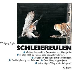 Schleiereulen