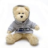 Seattle Seahawks NFL Youth Hoody & Tee Combo (Large)