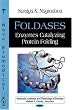 Foldases: Enzymes Catalyzing Protein Folding (Molecular Anatomy and Physiology of Proteins)