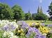 Agapanthus Flowers and St. Peters Anglican Cathedral, Adelaide, South Australia, Australia Art Photographic Poster Print by Neale Clarke, 12x9 Image
