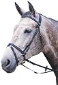 Wintec English Bridle w/Flash