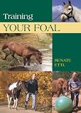 Training Your Foal