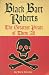 Black Bart Roberts: The Greatest Pirate of Them All