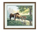 Eigenschaften Dimensions / Horses by a Stream Pferde Malen nach Zahlen
