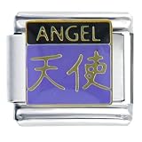 Chinese Angel Pugster Italian Charms
