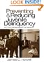 Preventing and Reducing Juvenile Delinquency: A Comprehensive Framework