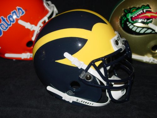 MICHIGAN WOLVERINES MINI HELMET BY SCHUTT