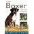 Boxer (Collins Dog Owner's Guides)