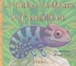 Les folles couleurs du Cam�l�on