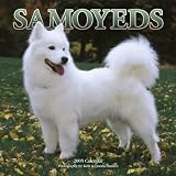 HyperLink
