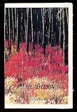 The burn (Salmon run pamphlet series I)