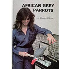 African Grey Parrots