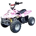 110cc Kid ATV With Fully Automatic Transmission and Remote Control Stop!