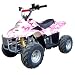 110cc Kid ATV With Fully Automatic Transmission!