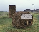 Ohio