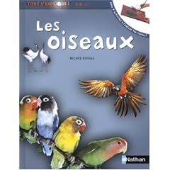 Les Oiseaux