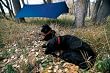 Crazy Creek Crazy Tarp (Royal Blue)