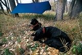 Crazy Creek Crazy Tarp (Royal Blue) by Crazy Creek
