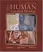 Hole's Human Anatomy & Physiology