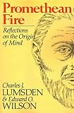 Promethean Fire: Reflections on the Origin of Mind