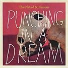 Punching In A Dream [7