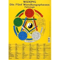 Die F�nf Wandlungsphasen: Pathologie. Lehrtafel in A4