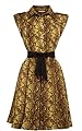 Snake Print Shirt Dress