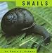 Snails (Animals) by Kevin J. Holmes