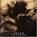 Swarm: A Cold Spring Sampler