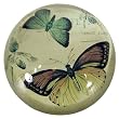Brown Butterfly Crystal Paperweight