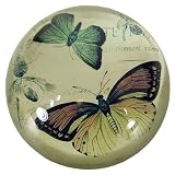 Brown Butterfly Crystal Paperweight