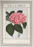 Bookplates Pink Hydrangea on Acid Free Paper 18 Bookplates