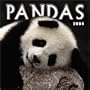 Pandas 2004 Calendar
