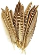 Touch of Nature 38192 Pheasant Wing Quill, 7-Inch