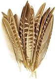 Touch of Nature 38192 Pheasant Wing Quill, 7-Inch