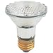 51RWfyHZzUL. SL75  Harley Light bulbs
