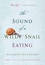 The Sound of a Wild Snail Eating
