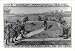Historic Print (L): The great national game. Last match of the season to be decided N...