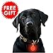 Dog Bark Control Collar Rechargeable & Waterproof Both Static Shock & Vibration Stimulus Options - Suitable For Small Medium & Large Size Dogs. New Greatly Improved Model