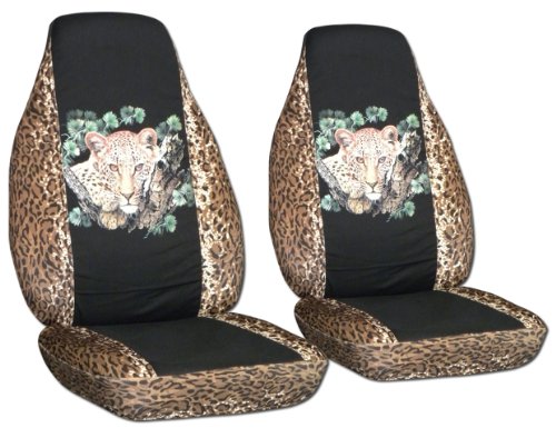 2 Leopard and Black