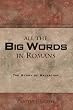 All the Big Words in Romans: The Story of Salvation