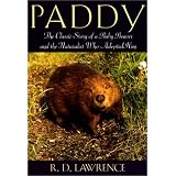 Paddy
