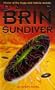Sun Diver (Uplift)