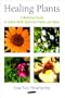 Healing Plants